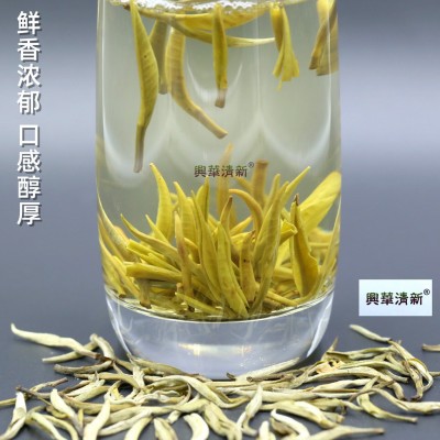 2023年新茶茉莉花茶叶茶芽云南元江茉莉白毫银针浓香茉莉毛尖