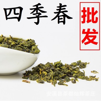 四季春茶奶茶店专用商用茶叶四季青茶四季乌龙水果茶乌龙奶茶基茶