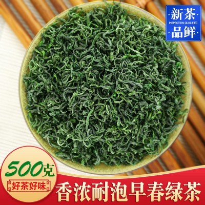 2024新茶 高山云雾绿茶龙井43号香茶 散装茶叶批发浓香日照500g