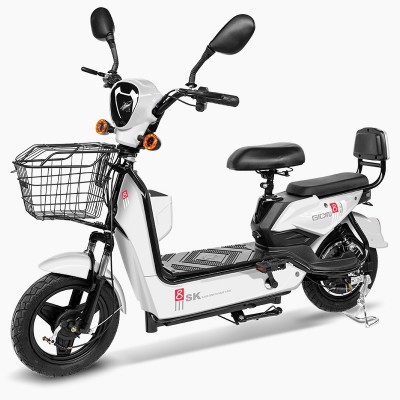 FL-0002-金鹰新款电动车厂家批发两轮电瓶车电动自行车工厂E-bike